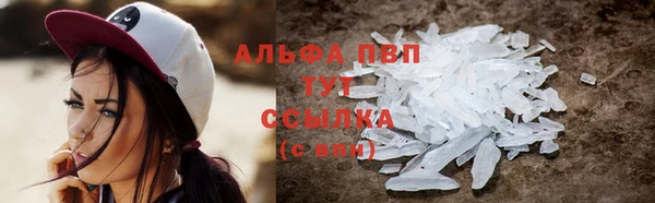PSILOCYBIN Балахна