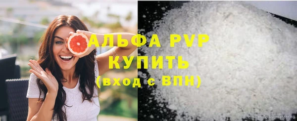 PSILOCYBIN Балахна