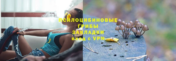 крисы Балабаново