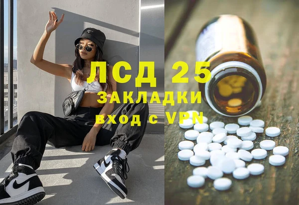 крисы Баксан
