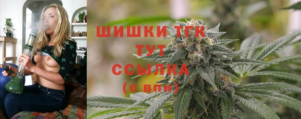 PSILOCYBIN Балахна