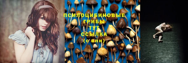 крисы Балабаново