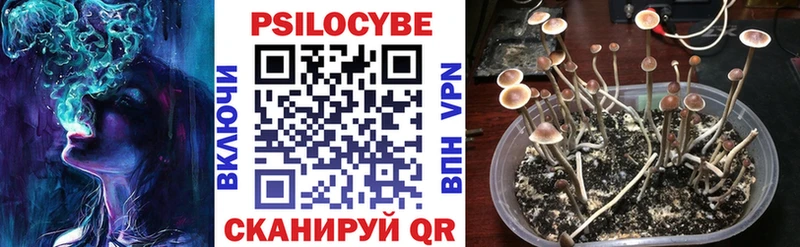 Псилоцибиновые грибы GOLDEN TEACHER  Улан-Удэ 