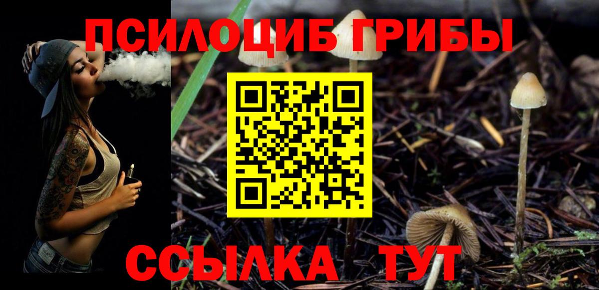 Улан-Удэ  Псилоцибиновые грибы MAGIC MUSHROOMS  Вход с VPN  Галлюциногенные грибы Magic Shrooms 